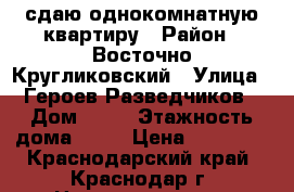 сдаю однокомнатную квартиру › Район ­ Восточно-Кругликовский › Улица ­ Героев Разведчиков › Дом ­ 28 › Этажность дома ­ 16 › Цена ­ 13 000 - Краснодарский край, Краснодар г. Недвижимость » Квартиры аренда   . Краснодарский край,Краснодар г.